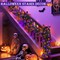 Timer & 2 Pack - Halloween Garland with Lights Total 12Ft 52LED Purple & Orange Lights (Black)